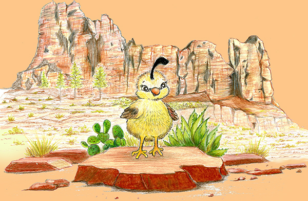 Sedona's Search