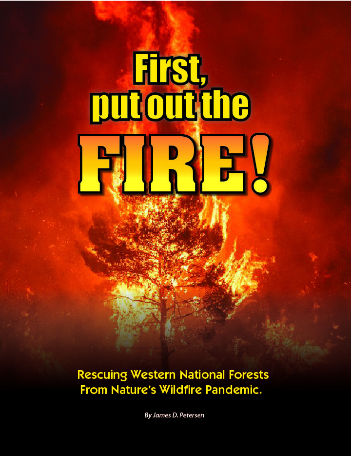 First, put out the fire!