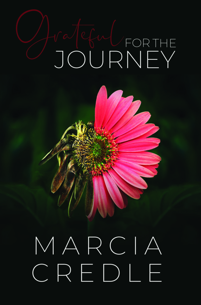 Grateful for the Journey