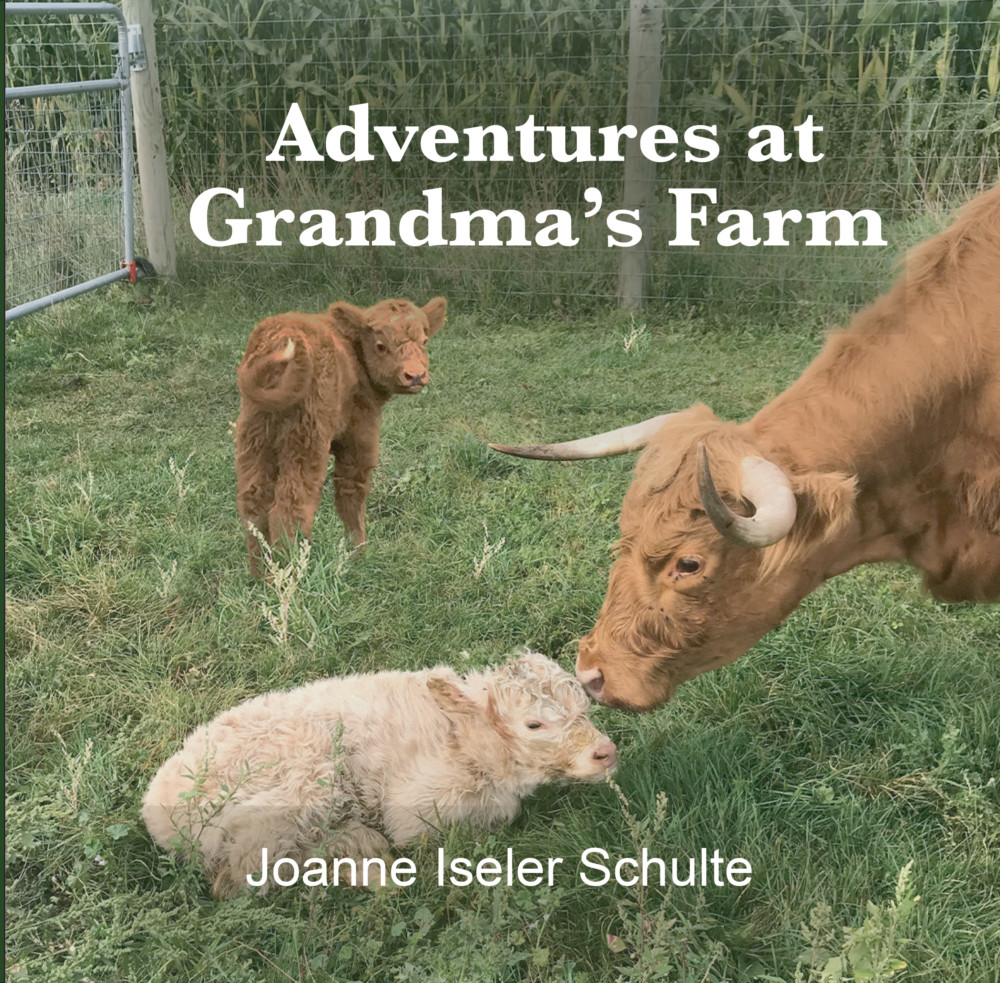 Adventures at Grandma's Farm